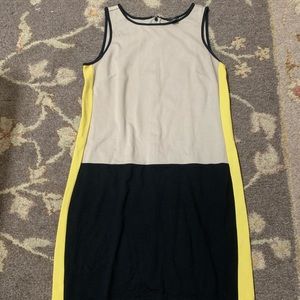 Ann Taylor dress